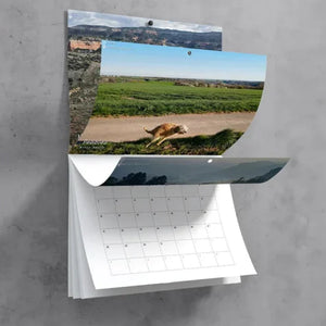 Pooping Pooches Dog Calendar