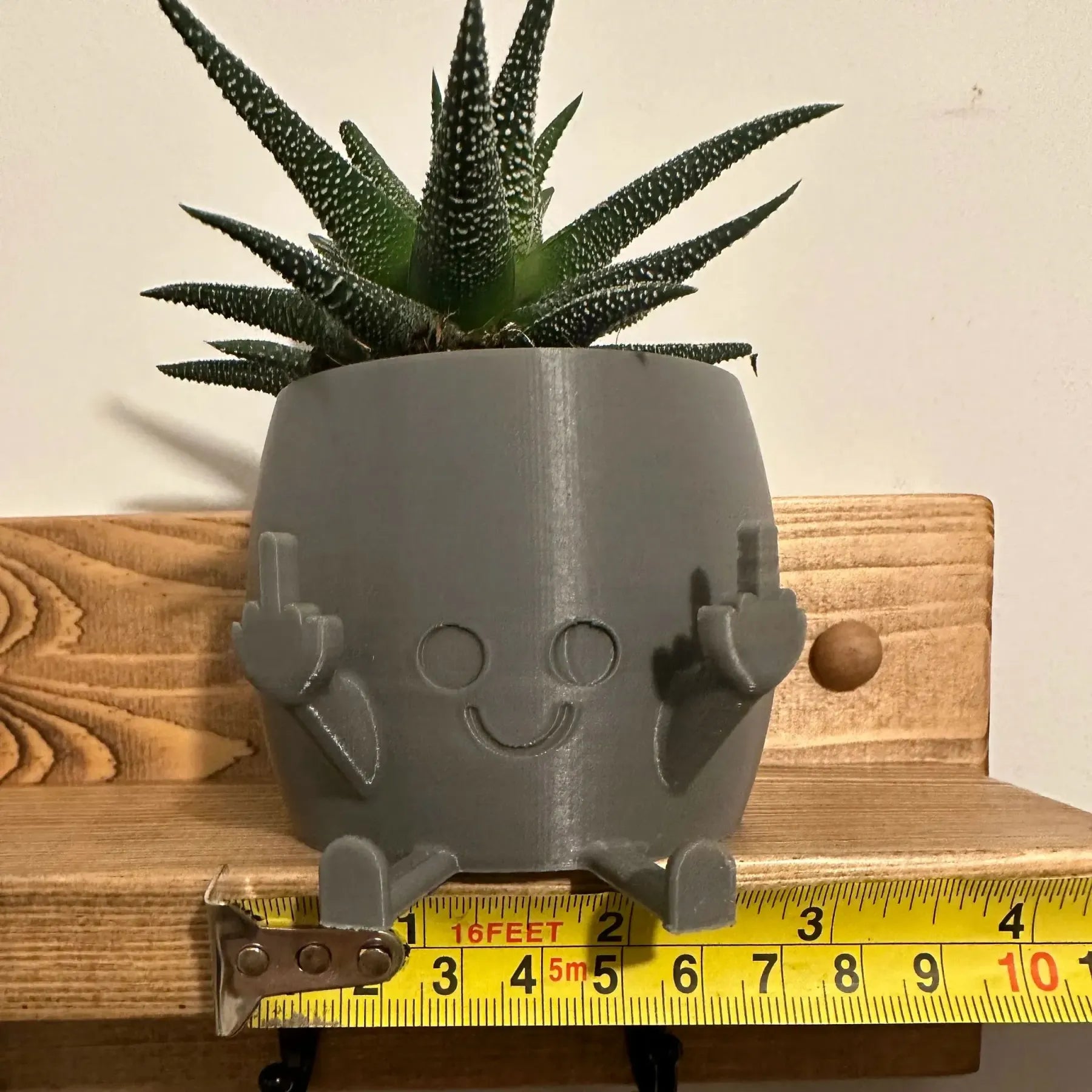 🤣Smiling Plant Pot with Middle Fingers Up
