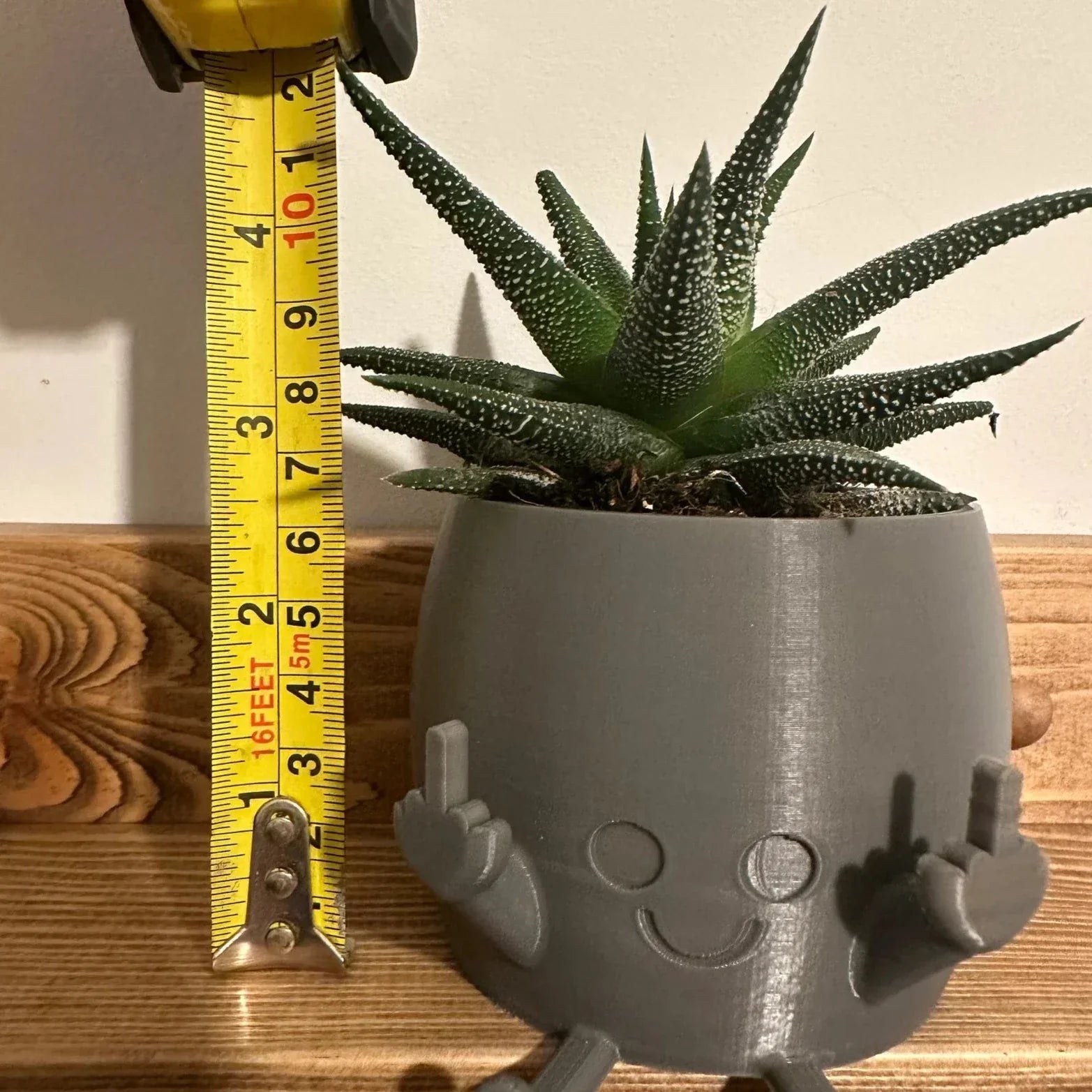 🤣Smiling Plant Pot with Middle Fingers Up – infinitias