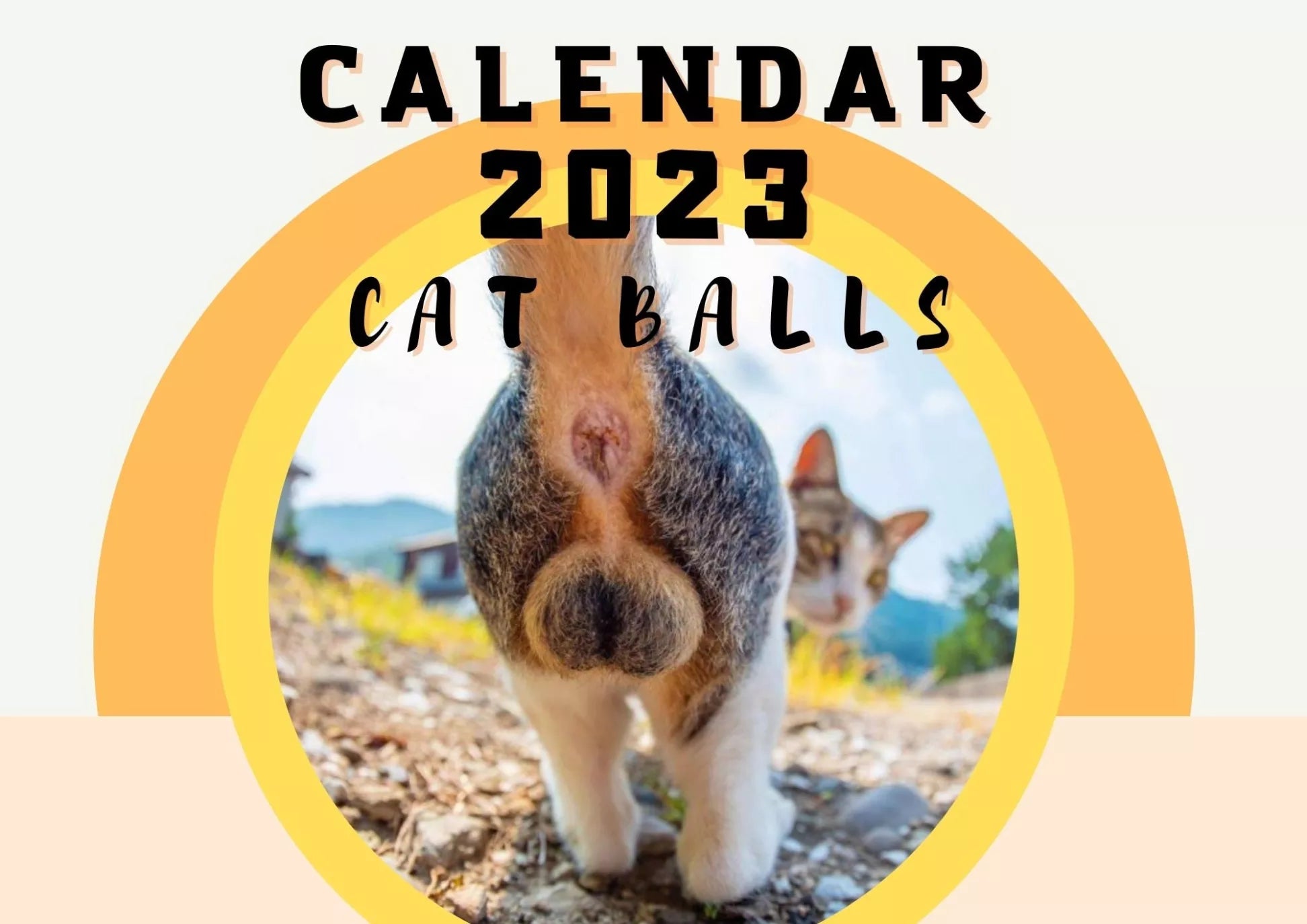 🤣2023 Funny Gift Cats Buttholes Calendar