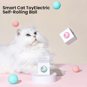 🐱2 in 1 Simulated Interactive Hunting Cat Toy