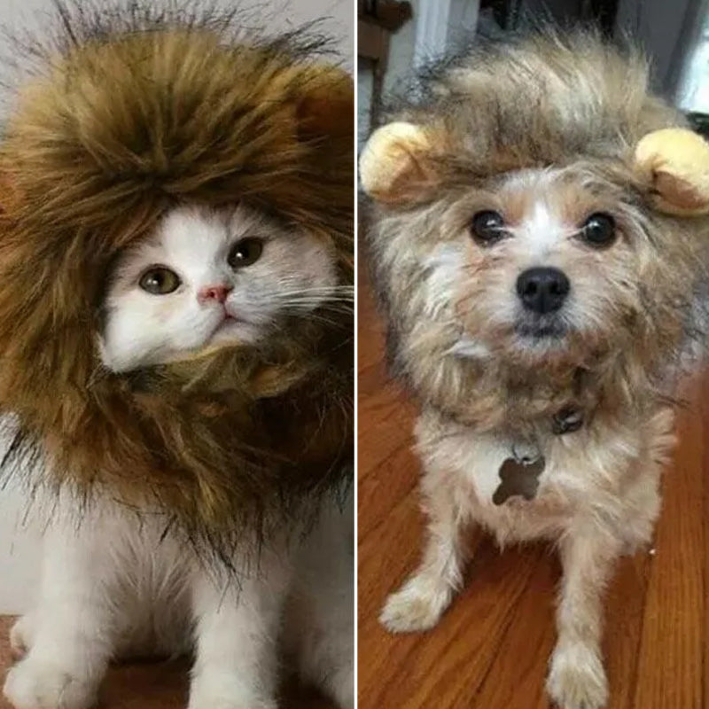 Pet Simulation Lion Mane