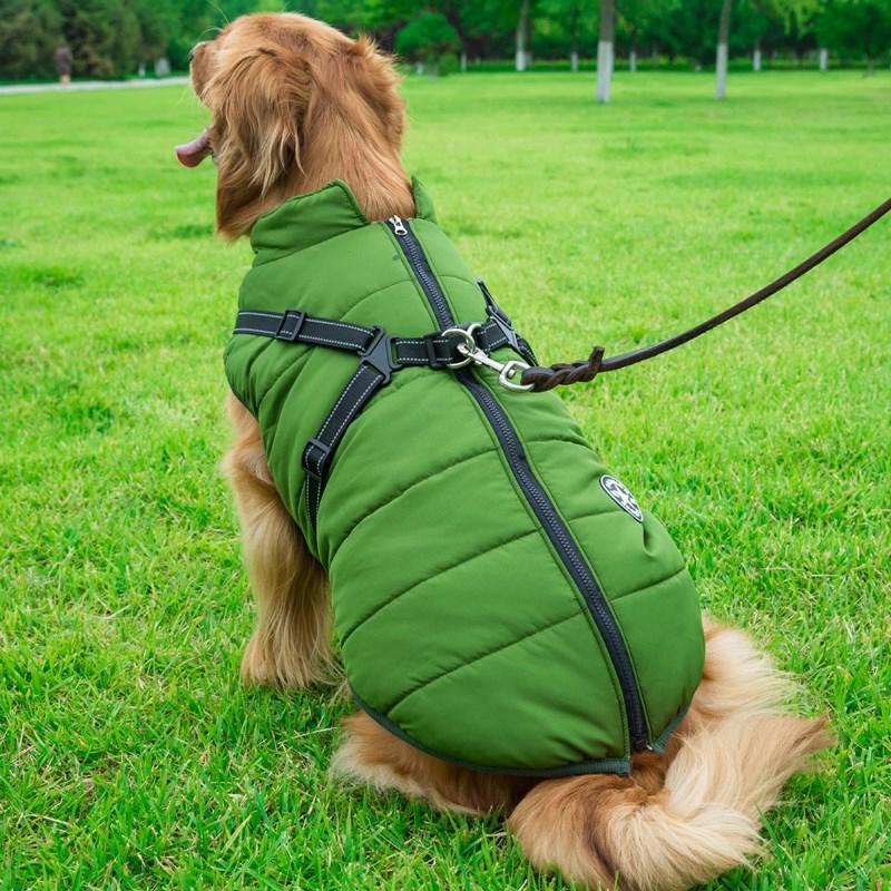 Winter Zipper Coat for Dogs