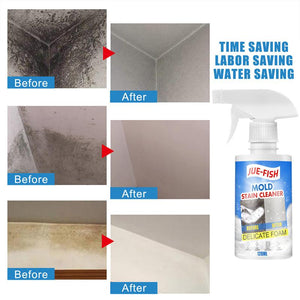 Mould & Mildew Remover Cleaning Spray