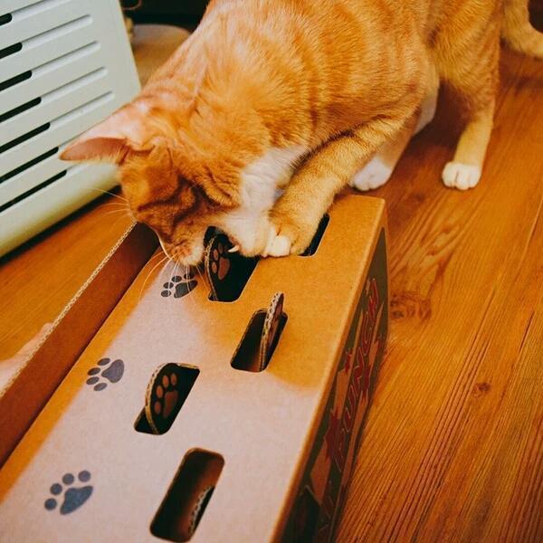 Cat Punch Cat toy Corrugated Cardboard