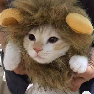 Pet Simulation Lion Mane