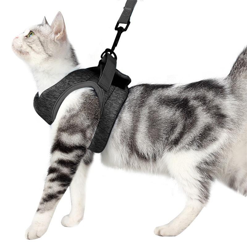 Cat Vest Harness and Leash