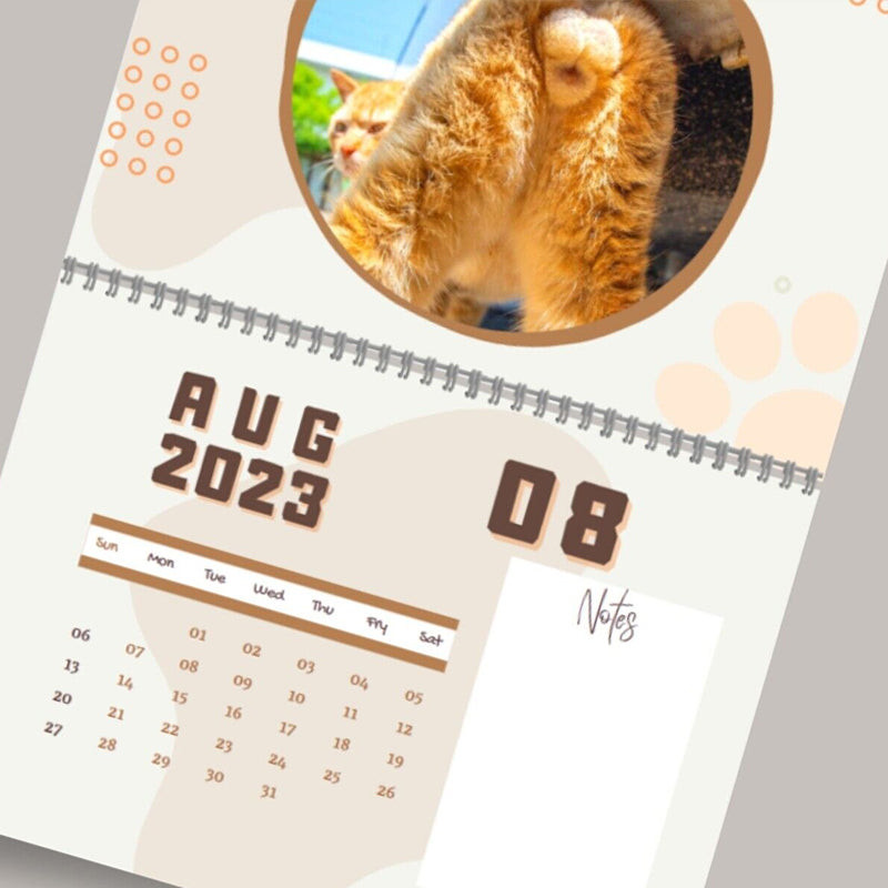🤣2023 Funny Gift Cats Buttholes Calendar